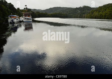 L'Australie, la Tasmanie, Arthur Pieman Conservation Area, Corinna, vue de bateaux dans la rivière Pieman Banque D'Images