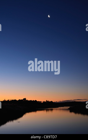 L'Australie, la Tasmanie, Tamar Les zones humides, zones humides de plus de lune Banque D'Images