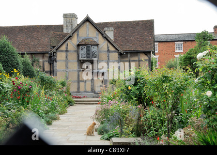 William Shakespeare résidence et lieu de naissance (vue arrière) Stratford-upon-Avon en Angleterre. Banque D'Images