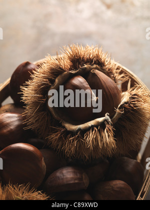 Panier de châtaignes Banque D'Images