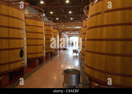 Fermentation en chêne barriques de vin rouge dans des caves de Bodega Roda dans La Rioja Espagne 110621 Haro, Espagne Banque D'Images