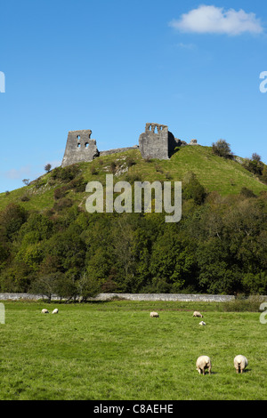 Château Dryslwyn, Carmarthenshire, Pays de Galles, Royaume-Uni Banque D'Images