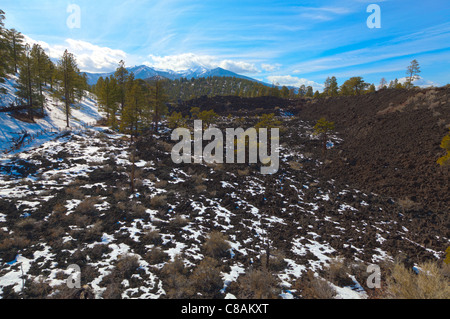 Neige sur un champ de lave à Sunset Crater en Arizona Banque D'Images