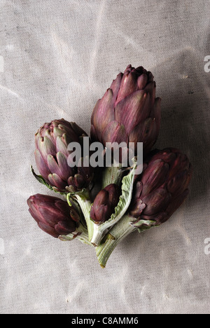 Artichauts violets Banque D'Images
