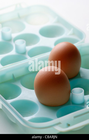 Oeufs dans un récipient en plastique Banque D'Images