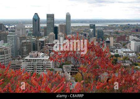 Vue sur la ville de Montréal au cours de l'automne de Mont-Royal, Québec Canada Banque D'Images