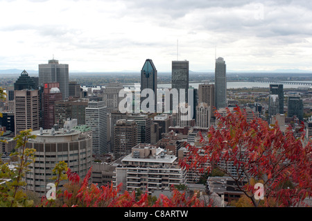 Vue sur la ville de Montréal au cours de l'automne de Mont-Royal, Québec Canada Banque D'Images