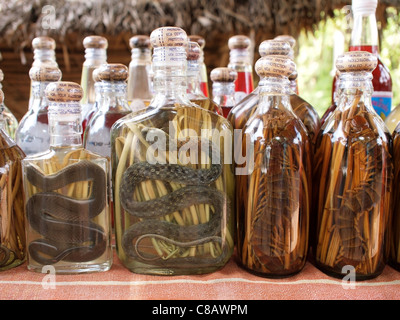 L'alcool de serpent (bouteilles de whisky de riz avec les serpents et les centipèdes at a market stall au Laos, Asie du sud-est) Banque D'Images