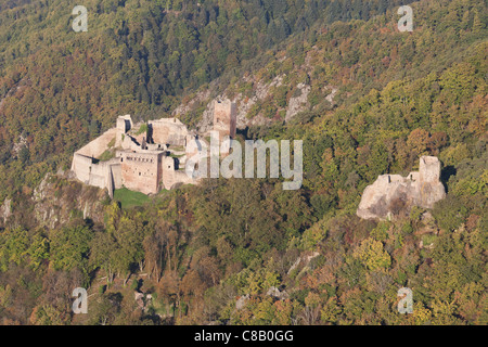 VUE AÉRIENNE.Château de Saint-Ulrich (à gauche) et Château de Giersberg (à droite) sur les Vosges.Ribeauvillé, Haut-Rhin, Alsace, Grand est, France. Banque D'Images