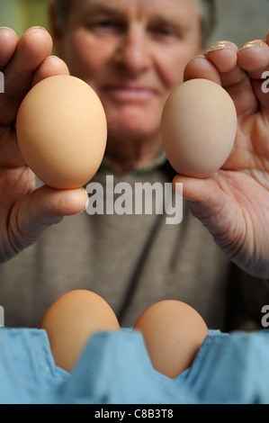 Re. Président de la British Association des producteurs d'Œufs de poules, Tom Vesey qui croit que la production de gros œufs est cruel d'h Banque D'Images