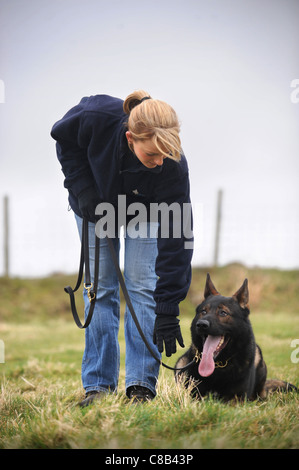 Un berger allemand et un gestionnaire pratique au centre de formation d'un chien qui se spécialise dans la protection individuelle et de sécurité UK Banque D'Images