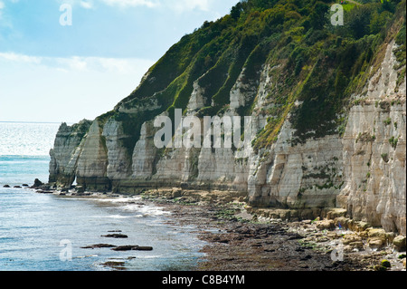 Falaises Blanches sur la côte jurassique au Beer Devon, Angleterre Banque D'Images