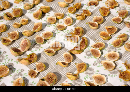 Italie, Basilicate, Bernalda, figues séchant au soleil Banque D'Images