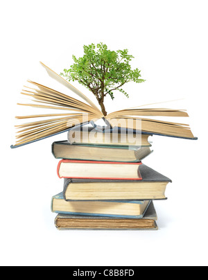 Image d'un arbre isolé de plus en plus un livre ouvert Banque D'Images