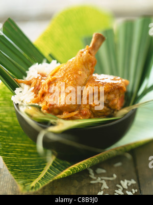 Poulet coco Indiennes de l'Ouest Banque D'Images