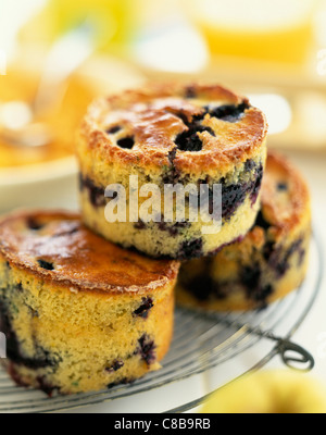 Muffins aux bleuets Banque D'Images