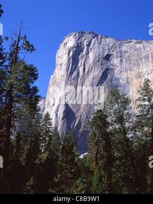 Vista El Capitan, Yosemite National Park, California, United States of America Banque D'Images