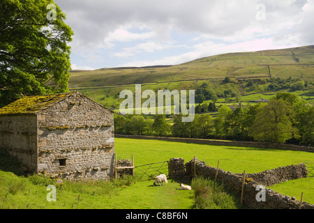 Une grange rustique se trouve dans un pittoresque prairie remplie de fleurs dans la vallée de Swaledale dans le Yorkshire Dales Banque D'Images