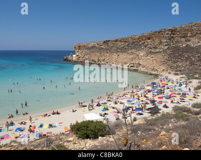 L'île de Lampedusa,Italie,mer Méditerranée.Isola dei Conigli Beach.Parc des tortues. Banque D'Images