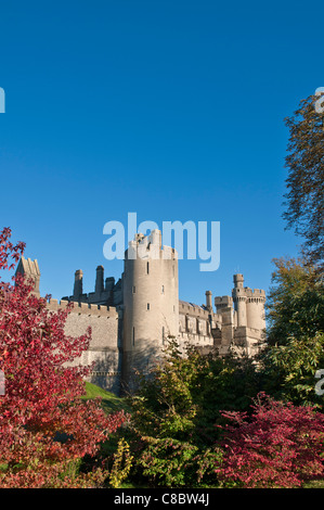 CHÂTEAU D'ARUNDEL, début d'après-midi vue automnale avec arbres colorés au premier plan et ciel bleu clair, West Sussex, Angleterre Royaume-Uni Banque D'Images