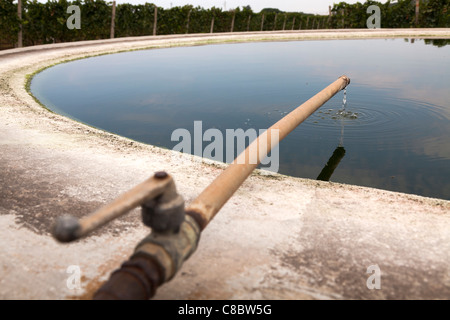 Réservoir Réservoir d'eau avec tuyau d'arrivée sur vignoble à Frascati, Italie Banque D'Images