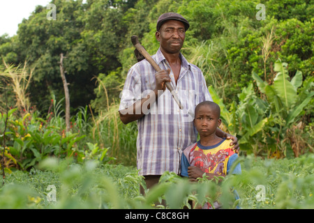 Un père et son fils se tenir dans leurs champs de tomates luxuriants de Mongu, Zambie, Afrique du Sud. Banque D'Images