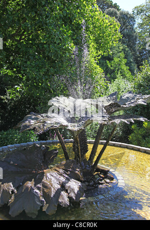 La Gunnera Fontaine à Trebah Gardens, Mawnan Smith, Nr Falmouth, Cornwall, England, England, UK Banque D'Images