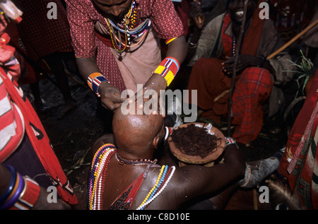 Lolgorian, au Kenya. Massaï Siria ; cérémonie Eunoto ; moran ayant ses cheveux tressés rasés par une femme. Banque D'Images