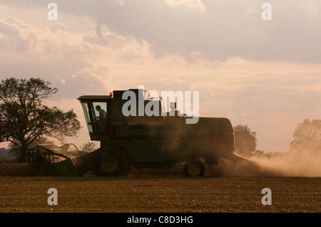Moissonneuse-batteuse, combinant le soir Banque D'Images