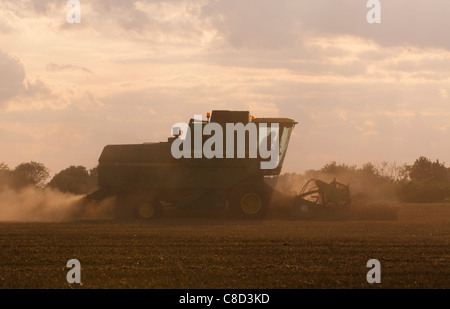 Moissonneuse-batteuse, combinant le soir Banque D'Images