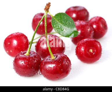 Les cerises. Isolé sur un fond blanc. Banque D'Images