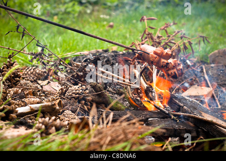 Saucisses grillées sur feu de bois dans le jardin. Banque D'Images