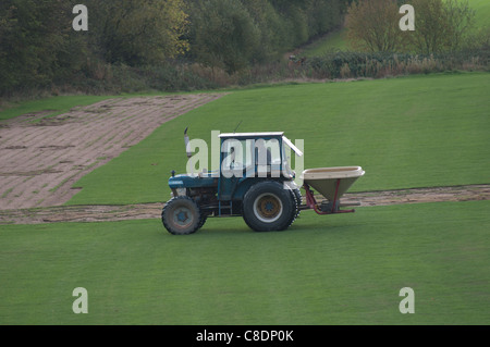 L'épandage d'engrais artificiel Ford Tracteur agricole croissante sur le gazon, UK Banque D'Images