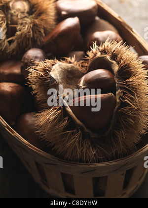 Panier de châtaignes Banque D'Images