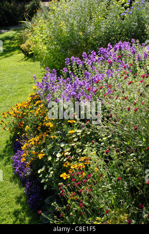 Des fleurs au jardin de l'usine Rue Mill Warwick Banque D'Images