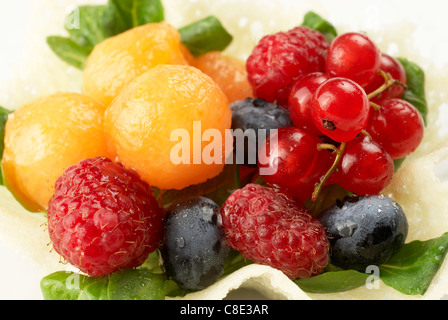 Les baies mûres black berry blue blue-berry blueberries close-up couleur coloré Banque D'Images