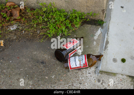 Bouteille Budweiser cassée Banque D'Images