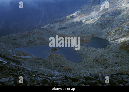 Lacs de crapaud (Zabie plesa) dans les Hautes Tatras, en Slovaquie. Banque D'Images