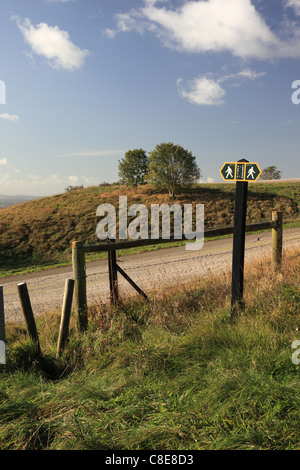 Panneau public de sentier, Roundway Hill, près de Devizes, Wiltshire, Angleterre, Royaume-Uni Banque D'Images