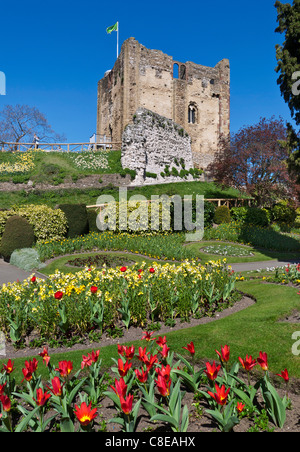 Château de Guildford avec couleur printemps fleurs Guildford Surrey UK Banque D'Images