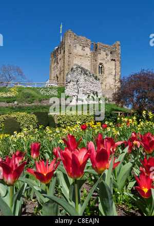 Château de Guildford Surrey Guildford couleur printemps avec UK Banque D'Images