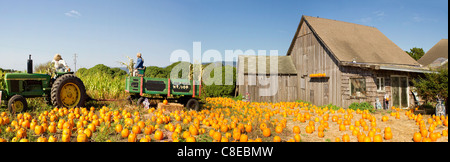 Citrouille Vieille maison de ferme avec Panorama Décoration Halloween Banque D'Images