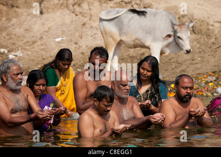 Les hommes et les femmes hindoues indiennes echelle et prier dans le Gange par Kshameshwar Ghat en ville sainte de Varanasi, Inde Banque D'Images
