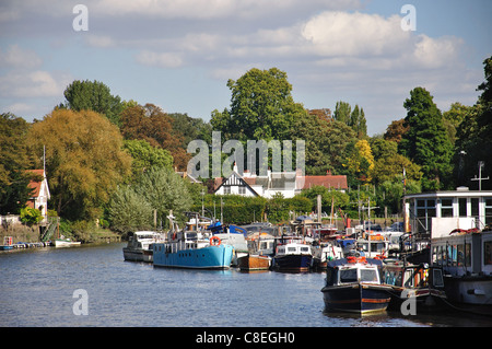 Sur la rivière Tamise, Twickenham, London Borough of Richmond upon Thames, London, Greater London, Angleterre, Royaume-Uni Banque D'Images