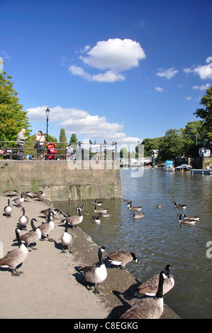 Sur la rivière Tamise, Twickenham, London Borough of Richmond upon Thames, London, Greater London, Angleterre, Royaume-Uni Banque D'Images