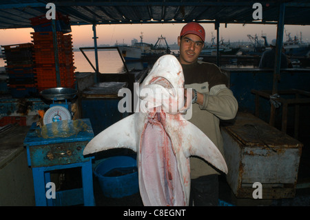 Le marché aux poissons de Tripoli, Libye Banque D'Images