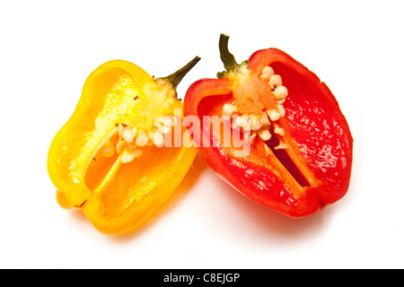 Piments Scotch Bonnet ou caraïbes peppers isolated on a white background studio. Banque D'Images