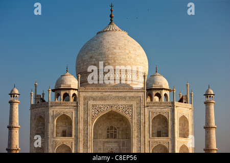 Le Mausolée du Taj Mahal le sud voir le détail, de l'Uttar Pradesh, Inde Banque D'Images