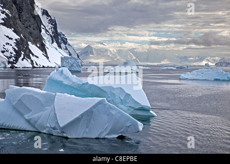 Les icebergs dans le Canal Lemaire, Péninsule Antarctique Banque D'Images