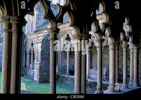 Cloitre, Cathédrale, l'église, Saint Tugdual, Treguier, Bretagne, Bretagne, France, Europe, colonnes Banque D'Images